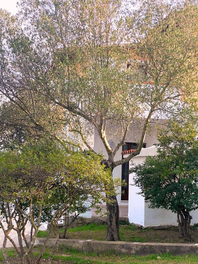 Casa Vacanza Porta Smeralda Olbia Zewnętrze zdjęcie