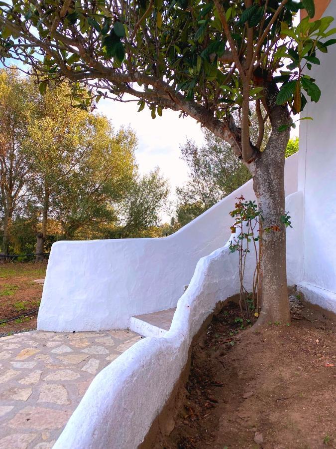Casa Vacanza Porta Smeralda Olbia Zewnętrze zdjęcie