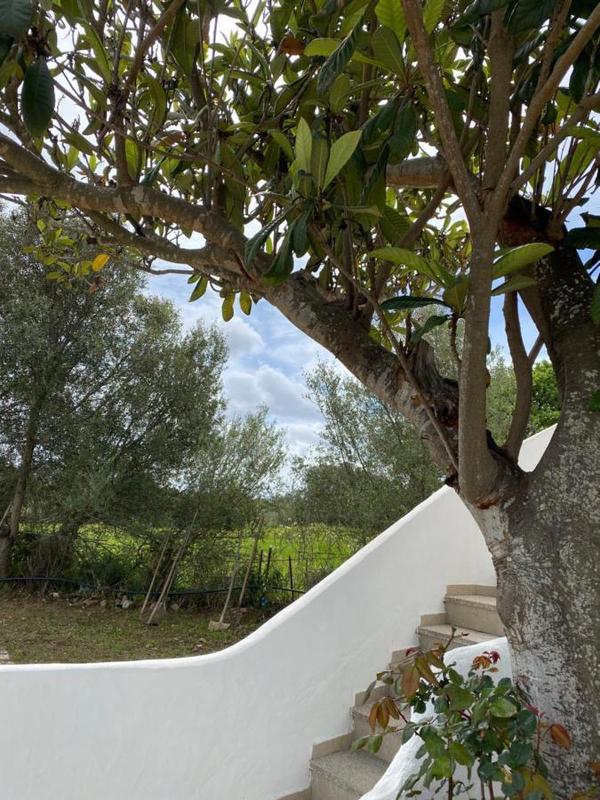 Casa Vacanza Porta Smeralda Olbia Zewnętrze zdjęcie