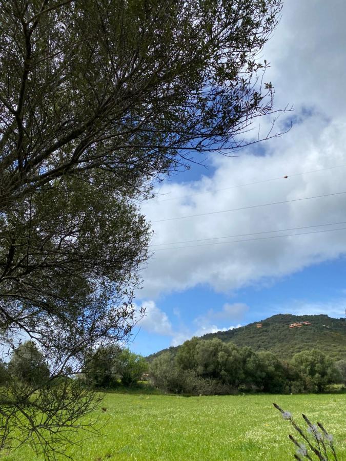 Casa Vacanza Porta Smeralda Olbia Zewnętrze zdjęcie