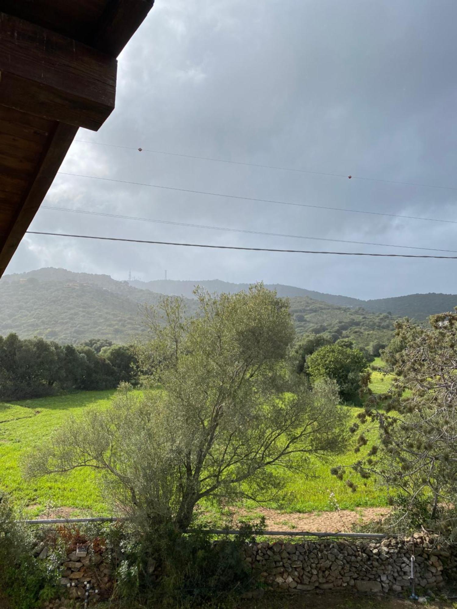 Casa Vacanza Porta Smeralda Olbia Zewnętrze zdjęcie