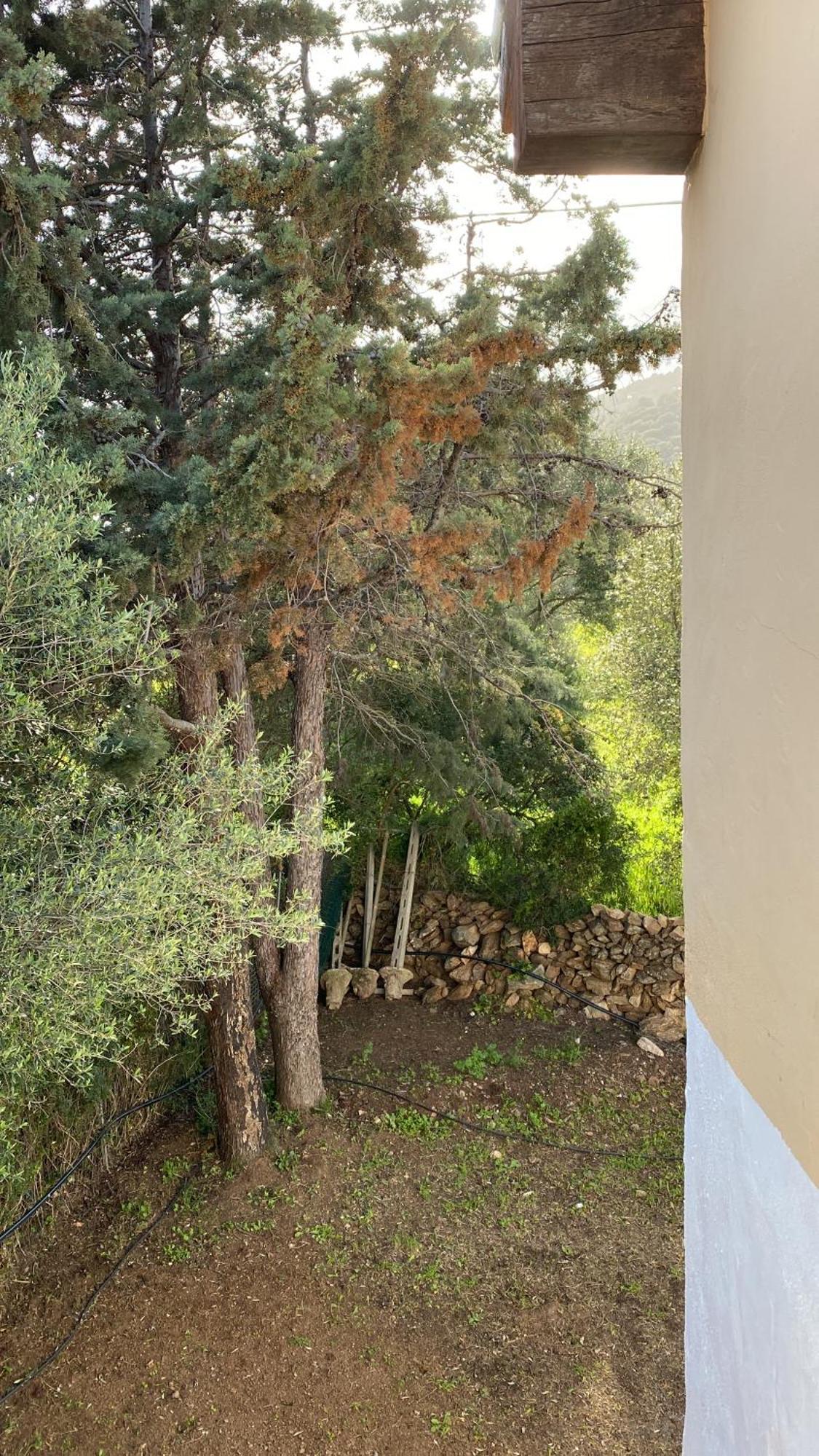 Casa Vacanza Porta Smeralda Olbia Zewnętrze zdjęcie