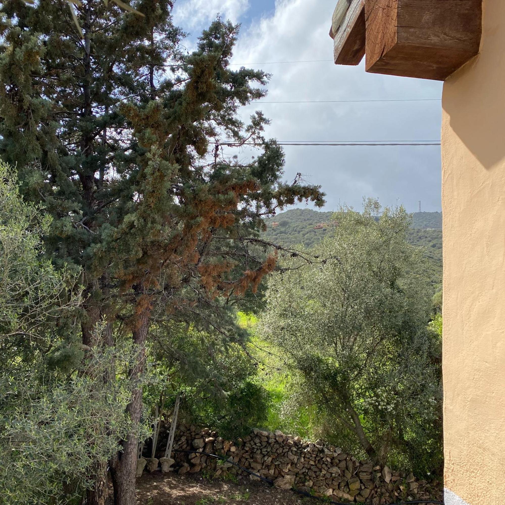 Casa Vacanza Porta Smeralda Olbia Zewnętrze zdjęcie